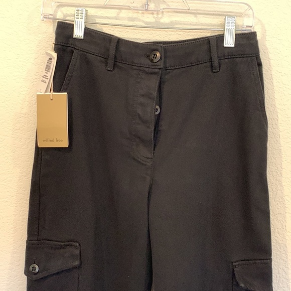 Aritzia Modern Cargo Jeans Petite - Picture 4 of 9